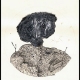 “Señora que compró un cerebro” (“Lady Who Bought a Brain”, 1999). 29 x 21 cm. Ink, pencil and oil pastel on paper.